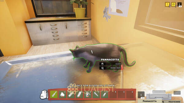 Animal Shelter Screenshot 1