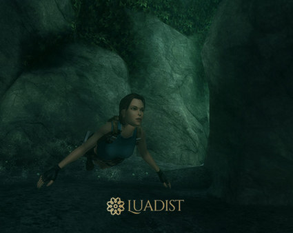 Tomb Raider: Anniversary Screenshot 4