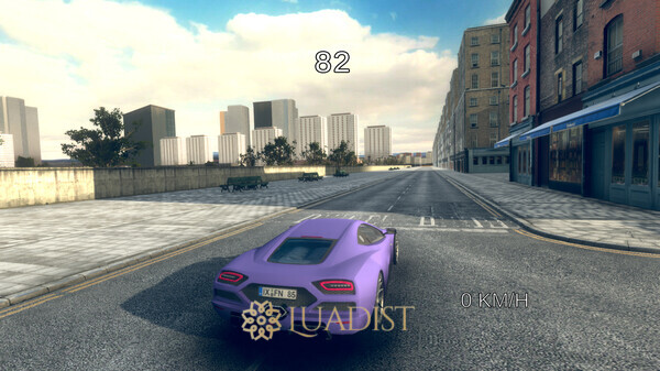 True Driver Screenshot 4