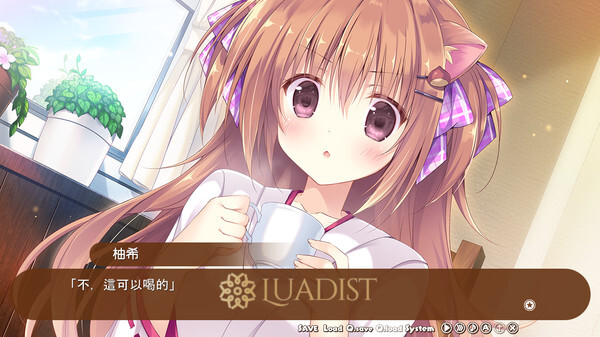 Amairo Chocolate Screenshot 2