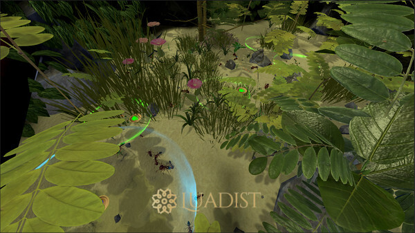 AntQueen 3D Screenshot 1