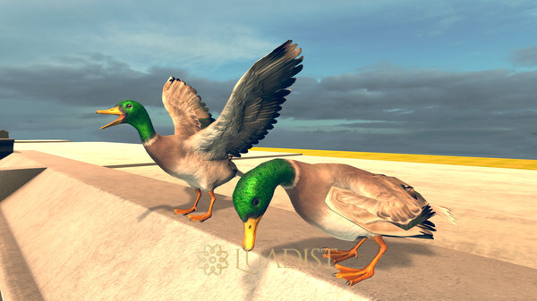 Bird Simulator Screenshot 3