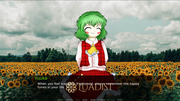 CBT With Yuuka Kazami Screenshot 1