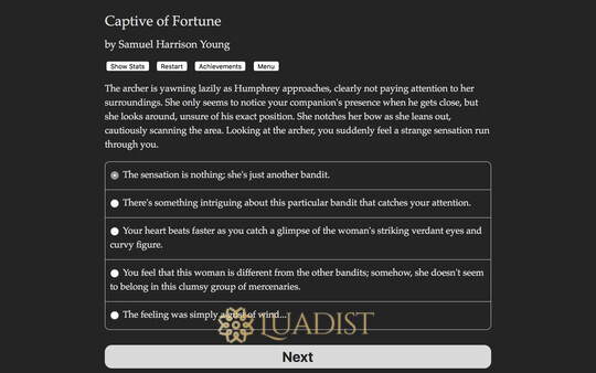 Captive Of Fortune Screenshot 2