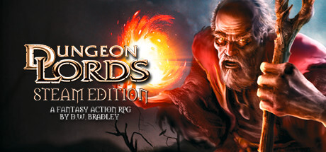 Dungeon Lords Steam Edition Game