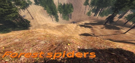 Forest Spiders Game