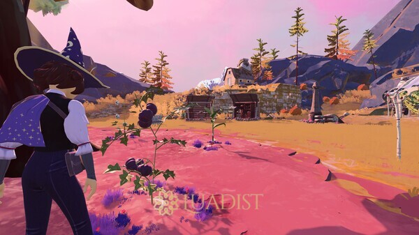 Homestead Arcana Screenshot 3