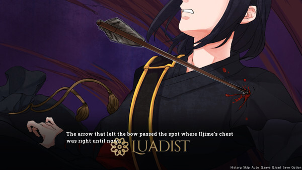 Lady in Mystery Screenshot 1