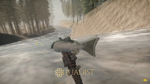 Missing Plane: Survival Screenshot 2