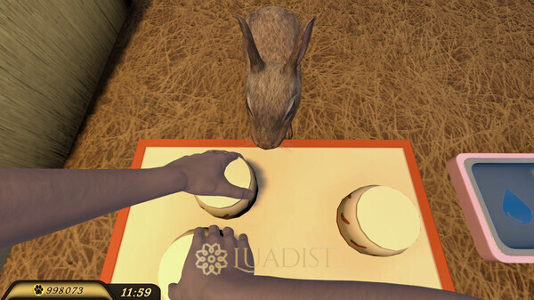 Pets Hotel Screenshot 2