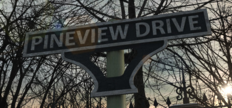 Pineview Drive Game