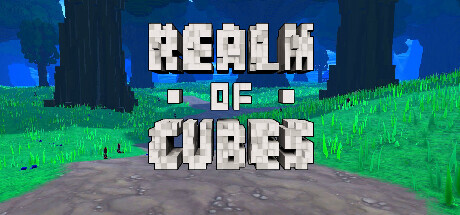 Realm of Cubes Game