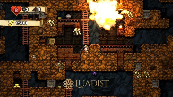 Spelunky Screenshot 2