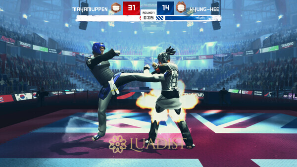 Taekwondo Grand Prix Screenshot 2