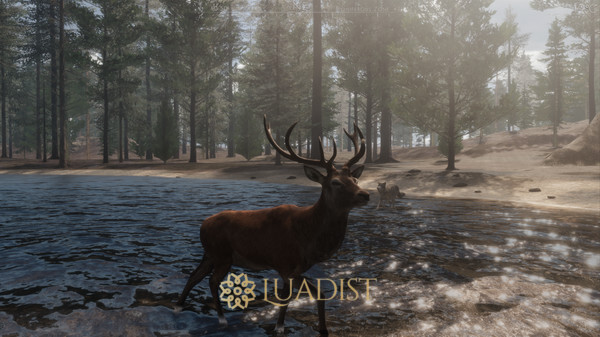 The WILDS Screenshot 2