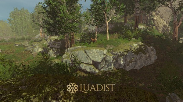 Trials of Wilderness Screenshot 2