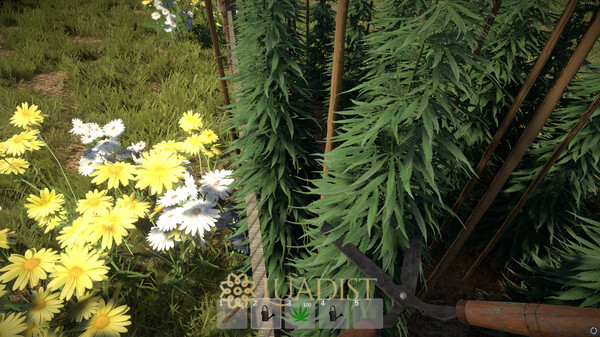 Weed Farmer Simulator Screenshot 1