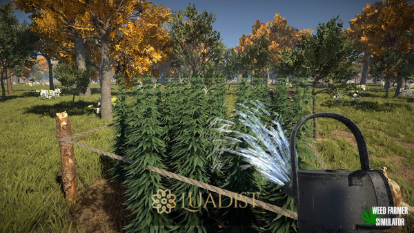 Weed Farmer Simulator Screenshot 4