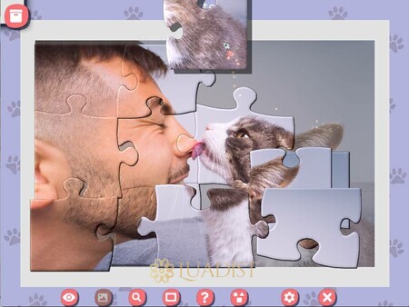 1001 Jigsaw. Cute Cats 5 Screenshot 1