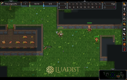 ADOM (Ancient Domains Of Mystery) Screenshot 1