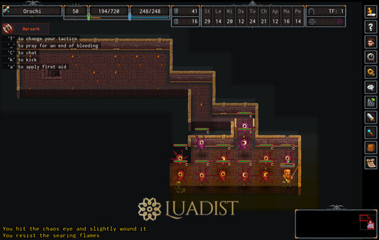 ADOM (Ancient Domains Of Mystery) Screenshot 4