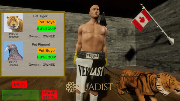 Art of Boxing Screenshot 3