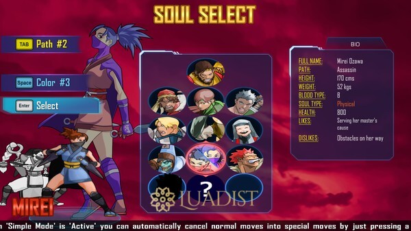 Dual Souls: The Last Bearer Screenshot 3