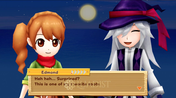 Harvest Moon: Light Of Hope Special Edition Screenshot 2
