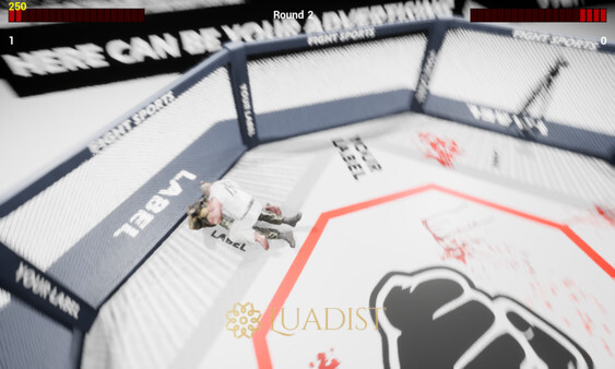 MMA Championship Screenshot 1