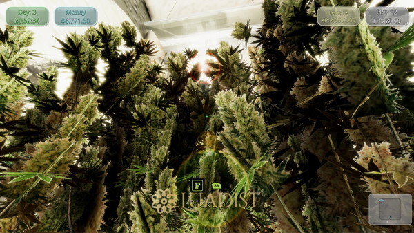Medicinal Herbs - Cannabis Grow Simulator Screenshot 4