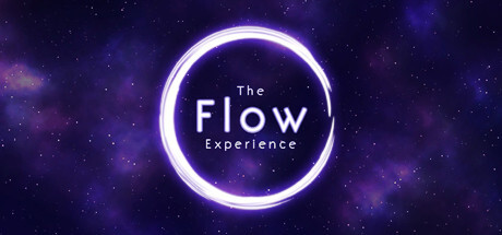 The Flow Experience Game
