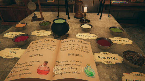 Wizardry School: Escape Room Screenshot 2